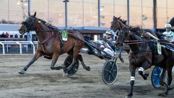 Foto: MIKAEL ROSENQUIST / TR BILD