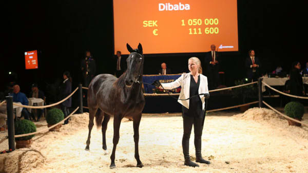 Foto: Maria Holmén/Travronden