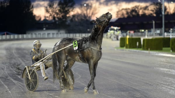 Foto: LARS JAKOBSSON / TR BILD