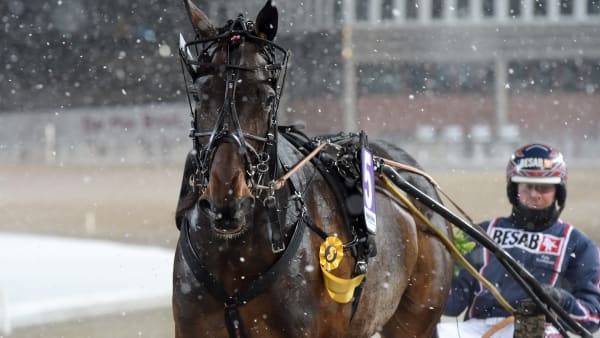 Foto: LARS JAKOBSSON / TR BILD