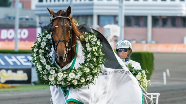 Foto: LENA EMMOTH / TR BILD