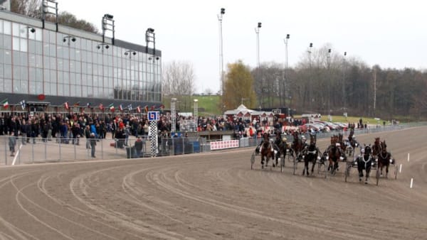 Foto: HANOLD/ALN