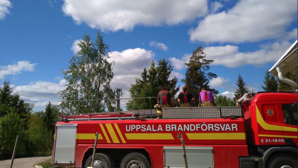 Foto: Jeanette Prah/Privat