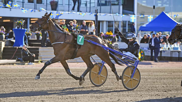 Foto: MALIN ALBINSSON / TR BILD