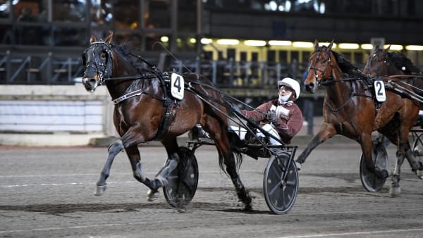 Foto: MALIN ALBINSSON / TR BILD