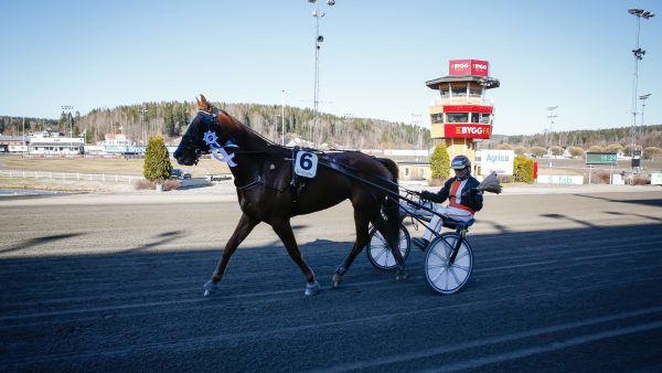 Foto: DAVID SCHREINER / TR BILD