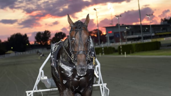 Foto: Lars Jakobsson/TR Bild