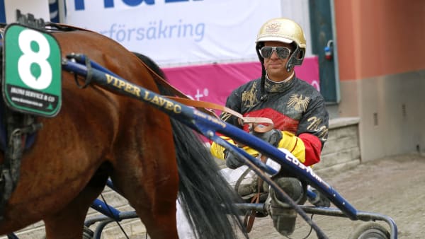 Foto: MARIA HOLMÉN / TR BILD