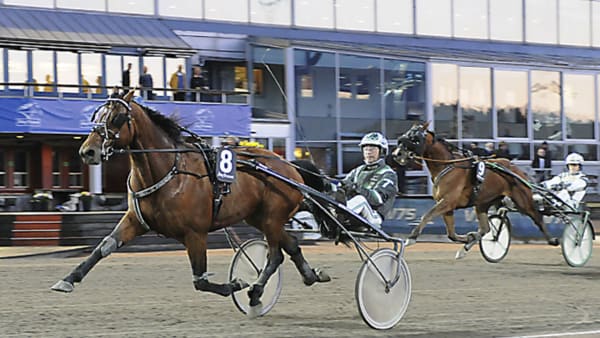 Foto: ANNIKA NIKLASSON/SIDMAKARN