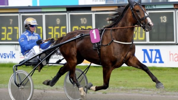 Foto: MARTIN LANGELS/ALN