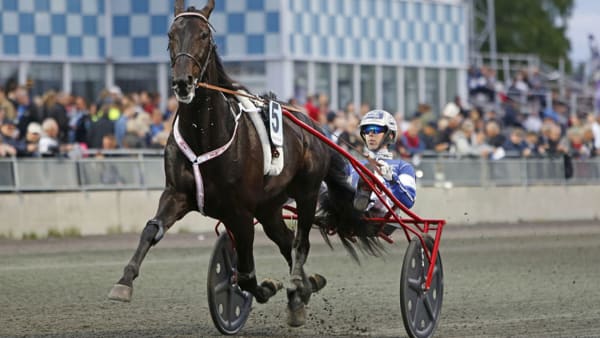 Foto: MATILDA ÖHRMAN/TRAVRONDEN