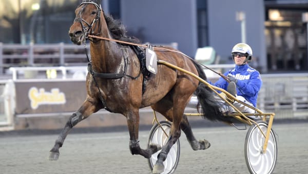 Foto: LARS JAKOBSSON / TR BILD