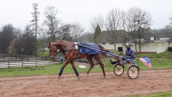 Foto: Lars Jakobsson/TR Bild