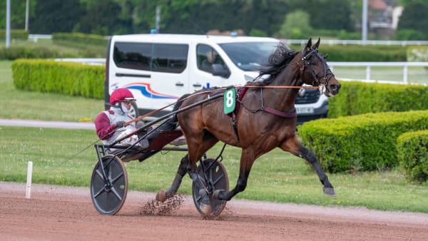 Foto: THOMAS BLOMQVIST / TR BILD