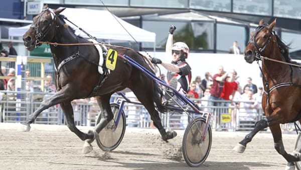 Foto: MICKE GUSTAFSSON/ALN