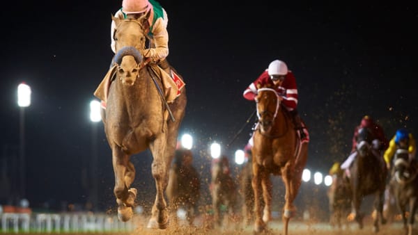 Foto: Dubai World Cup