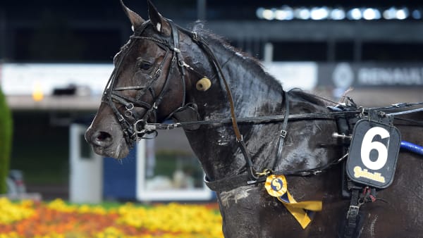 Foto: LARS JAKOBSSON / TR BILD