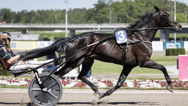 Foto: LENA EMMOTH / TR BILD