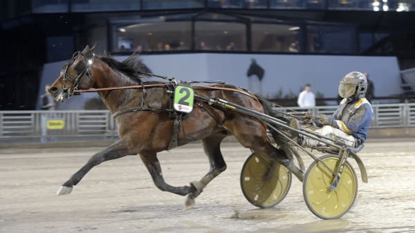 Foto: LARS JAKOBSSON / TR BILD