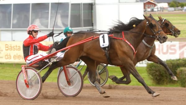 Foto: MICKE GUSTAFSSON/ALN