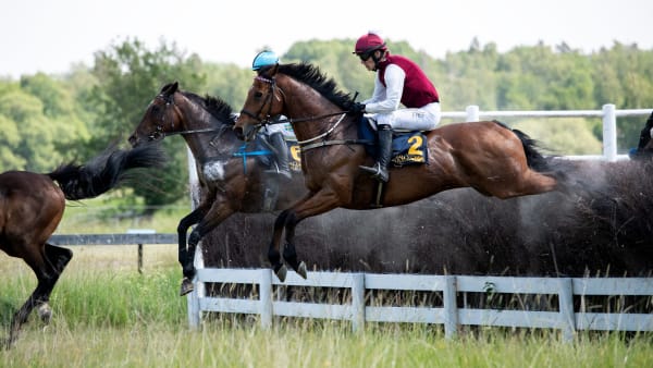 Foto: ELINA BJÖRKLUND/SVENSK GALOPP
