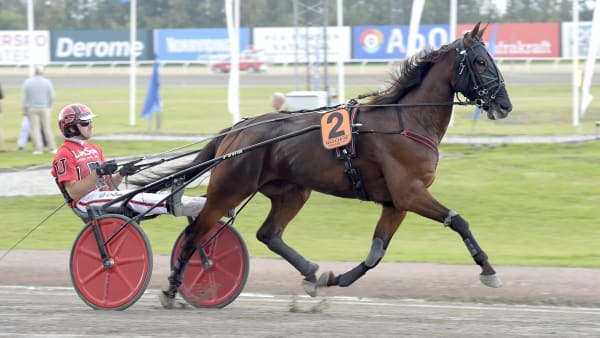 Foto: LARS JAKOBSSON / TR BILD