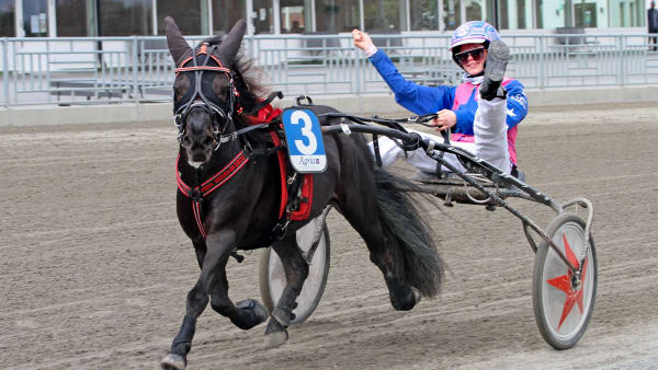 Foto: TOM JÖNEHAG