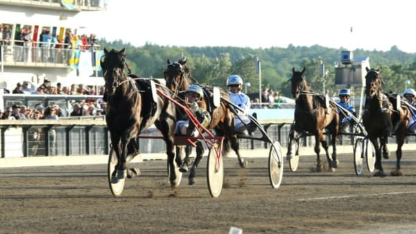 Foto: JÖRGEN TUFVESSON/ALN