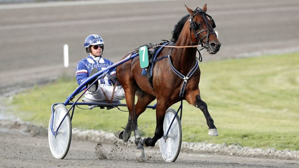 Foto: MICKE GUSTAFSSON