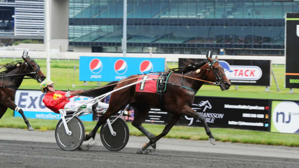 Foto: Adam Ström/Stalltz.se