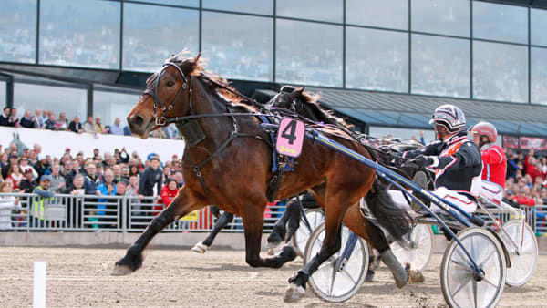 Foto: JEANNIE KARLSSON