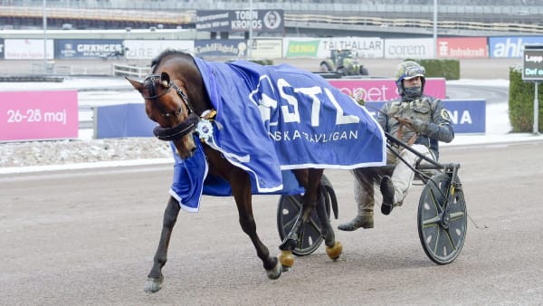 Foto: LARS JAKOBSSON / TR BILD