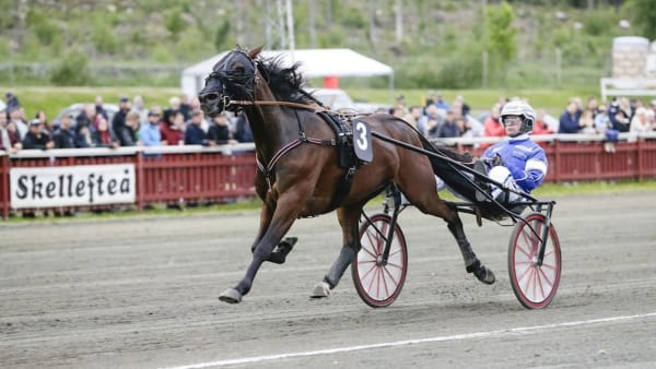 Foto: Ola Westerberg/ALN