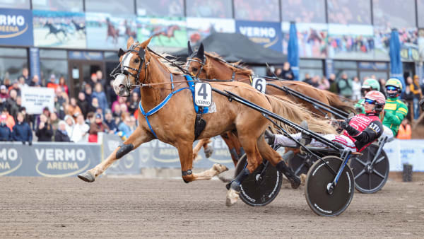 Foto: Kuvaaja Maisa Hyttinen/Suomen Hippos