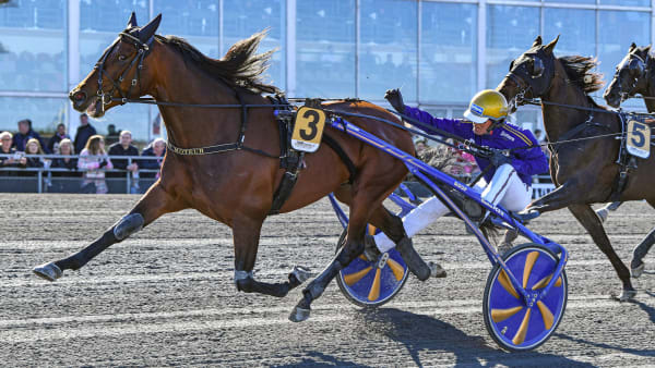 Foto: MALIN ALBINSSON / TR BILD