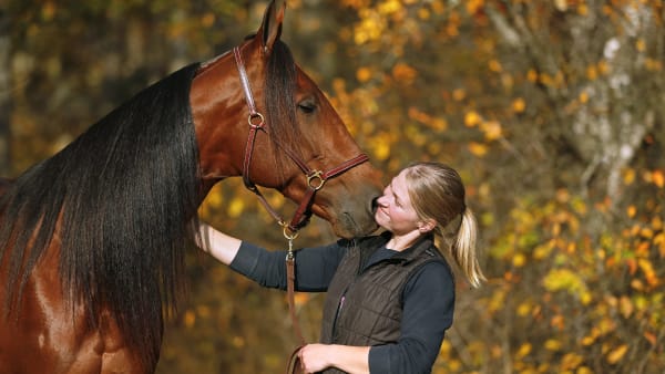 Foto: MARIA HOLMÉN / TR BILD