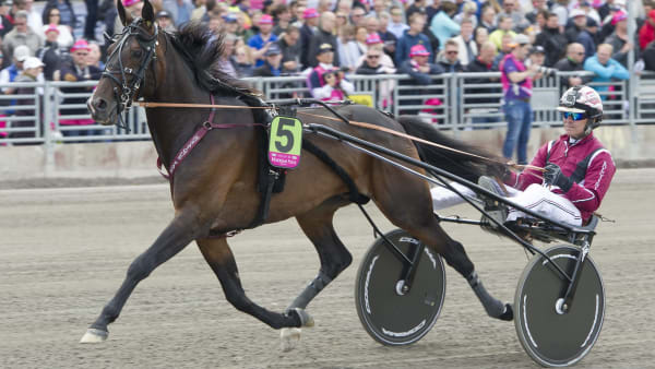 Foto: TOMMY ANDERSSON/ALN