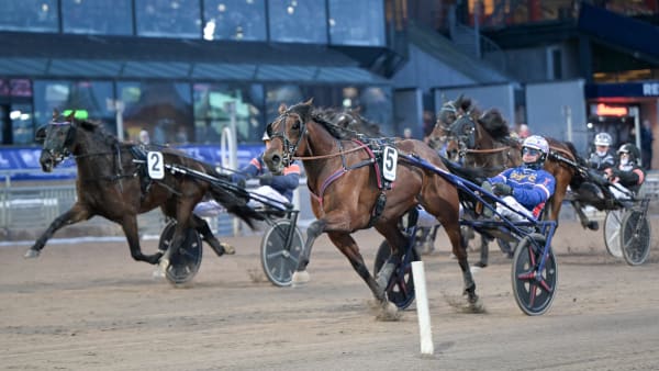 Foto: LARS JAKOBSSON / TR BILD