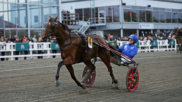 Foto: MATILDA ÖHRMAN / TR BILD