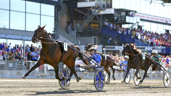 Foto: MARIA HOLMÈN/TR BILD