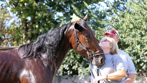 Foto: MIA TÖRNBERG/TRAVRONDEN