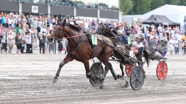 Foto: Maisa Hyttinen/Suomen Hippos