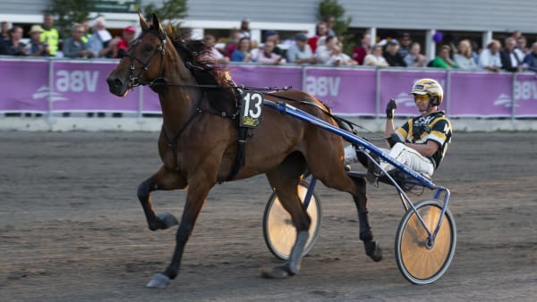 Foto: JESPER HAMMARLUND