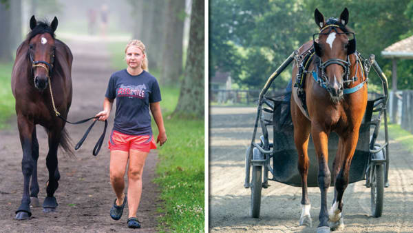 Foto: Thomas Blomqvist/TR Bild