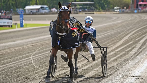 Foto: MALIN ALBINSSON / TR BILD