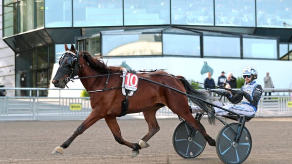 Foto: MARIA HOLMÉN / TR BILD