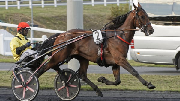 Foto: Jean-Luc Lamaère-LeTROT