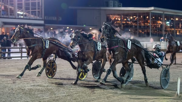 Foto: MIKAEL ROSENQUIST / TR BILD