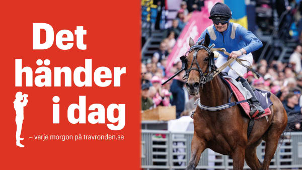 Foto: TR BILD/MONTAGE