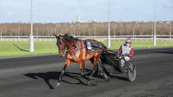 Foto: BRUNO VANDEVELDE/LE TROT